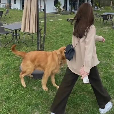 光的界限 海报
