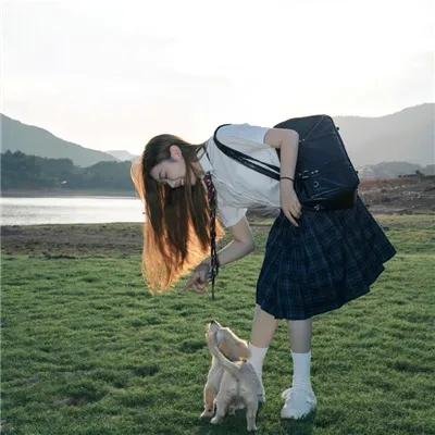 护花忙 海报