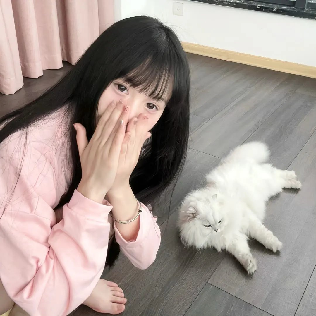 百变小姬子 海报